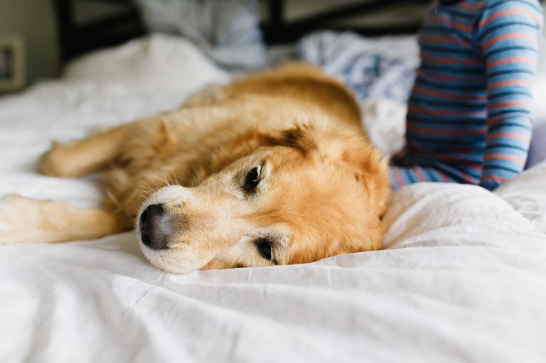 Ann Arbor newborn photography