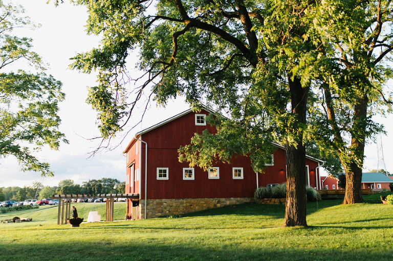 Zingerman's Cornman Farms Wedding Photography by Nicole Haley