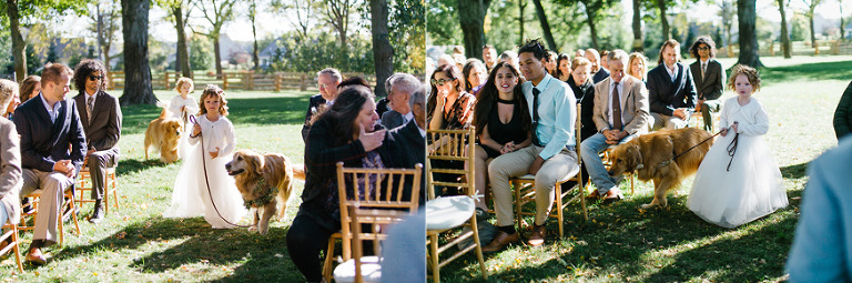 Zingerman's Cornman Farms wedding photography