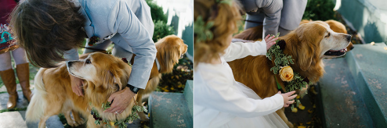 Zingerman's Cornman Farms wedding photography