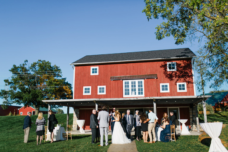 Zingerman's Cornman Farms wedding photography
