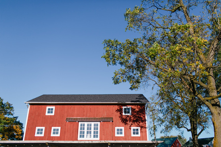 Zingerman's Cornman Farms wedding photography