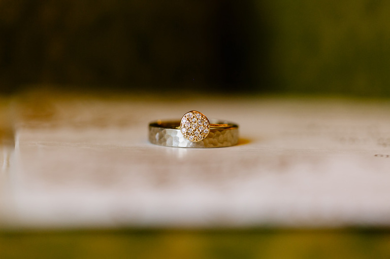 Indian wedding by Michigan wedding photographer, Nicole Haley