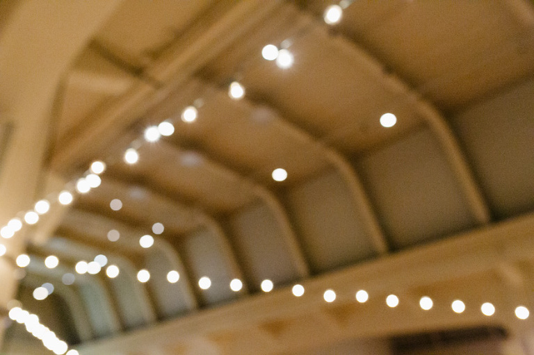 Indian wedding by Michigan wedding photographer, Nicole Haley