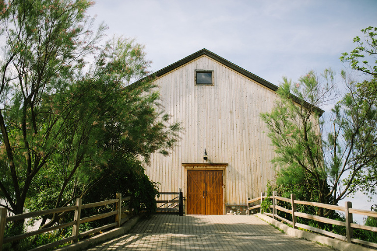 Cobblestone Farm Wedding Photography by Nicole Haley Photography