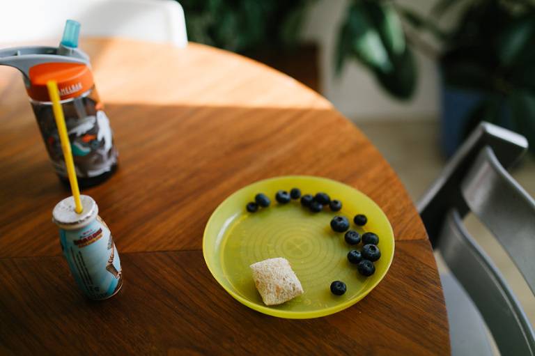 Documentary Family Portraits by Nicole Haley Photography