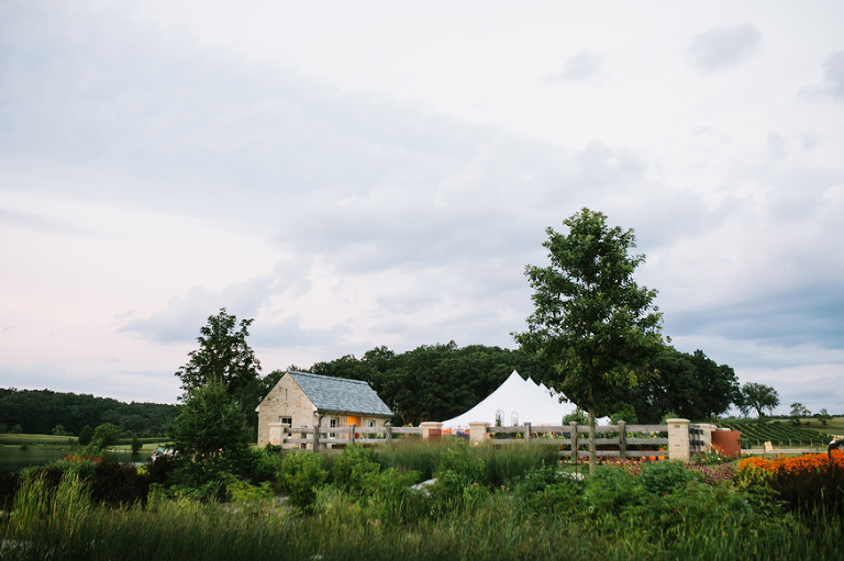 Vineyard Style Wedding in Michigan by Nicole Haley Photography