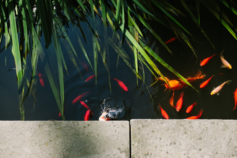 Grosse Pointe Little Club wedding photography | Nicole Haley Photography