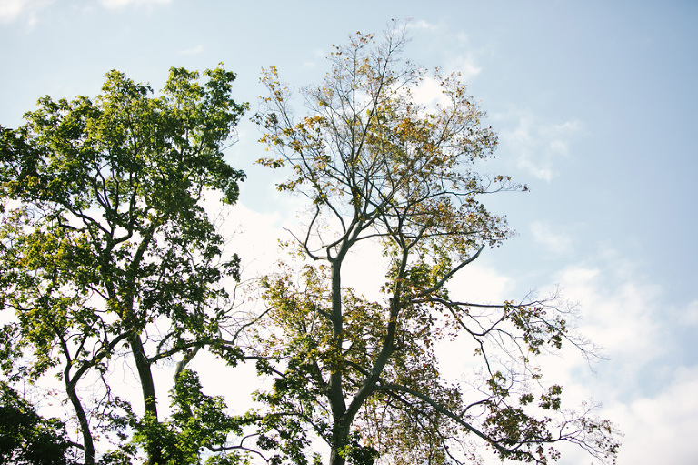 Grosse Pointe Little Club wedding photography | Nicole Haley Photography