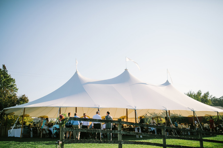 Misty Farm wedding photography by Michigan wedding photographer, Nicole Haley Photography