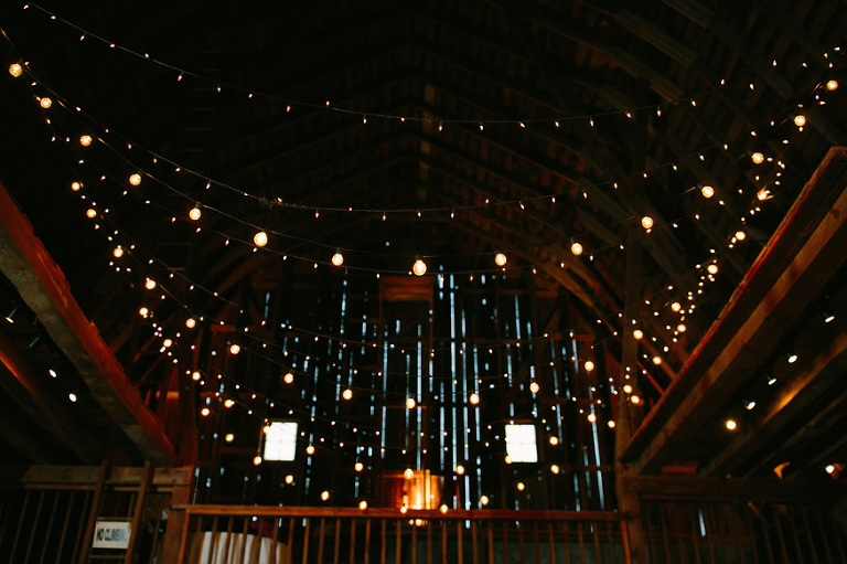 Misty Farm wedding photography by Michigan wedding photographer, Nicole Haley Photography