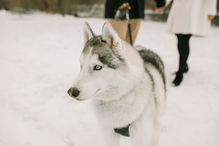 Winter engagement session by Nicole Haley Photography