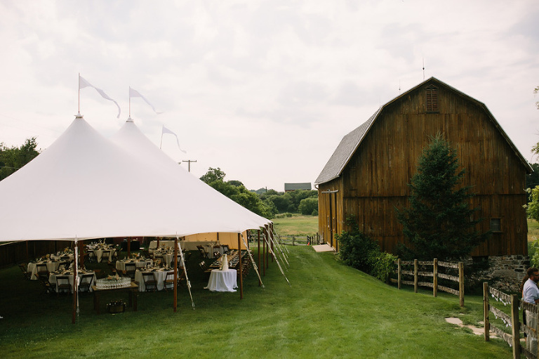 Misty Farm Wedding Photography | Ann Arbor wedding photographer, Nicole Haley