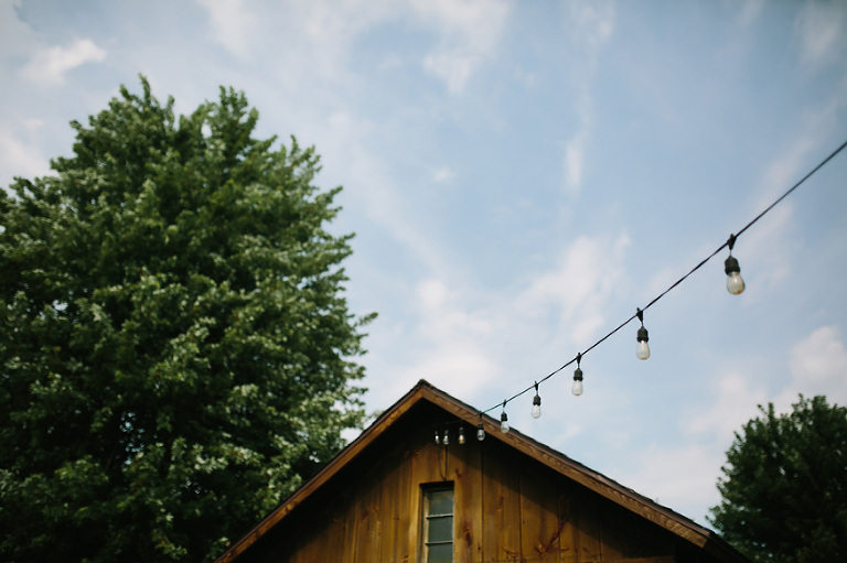 Misty Farm Wedding Photography | Ann Arbor wedding photographer, Nicole Haley
