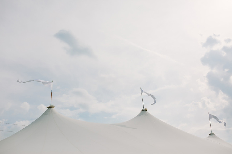 Misty Farm Wedding Photography | Ann Arbor wedding photographer, Nicole Haley