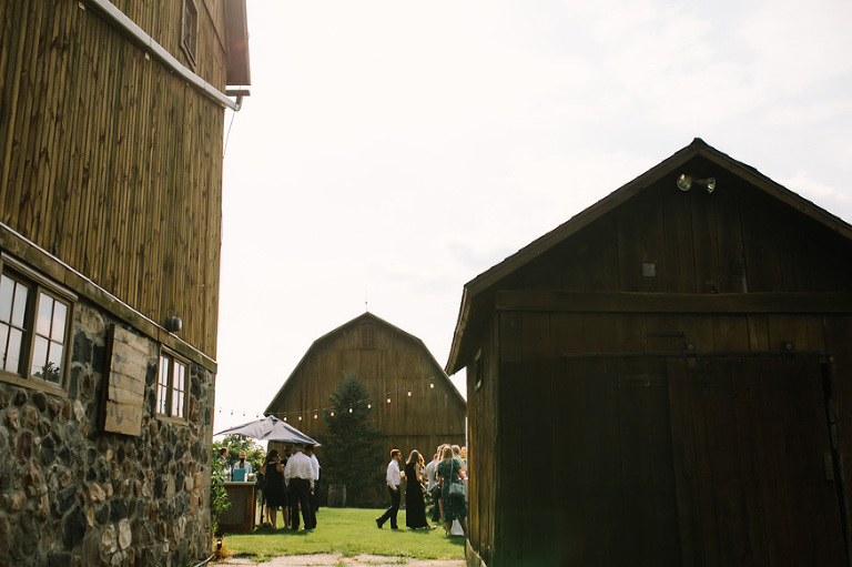 Misty Farm Wedding Photography | Ann Arbor wedding photographer, Nicole Haley