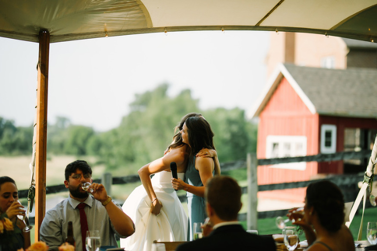 Misty Farm Wedding Photography | Ann Arbor wedding photographer, Nicole Haley