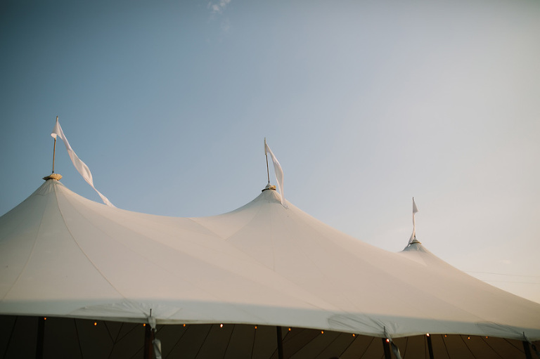Misty Farm Wedding Photography | Ann Arbor wedding photographer, Nicole Haley