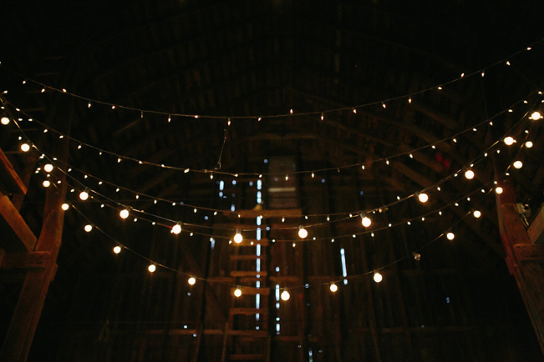 Misty Farm Wedding Photography | Ann Arbor wedding photographer, Nicole Haley