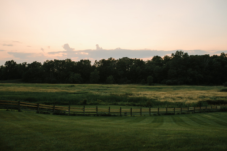Misty Farm Wedding Photography | Ann Arbor wedding photographer, Nicole Haley
